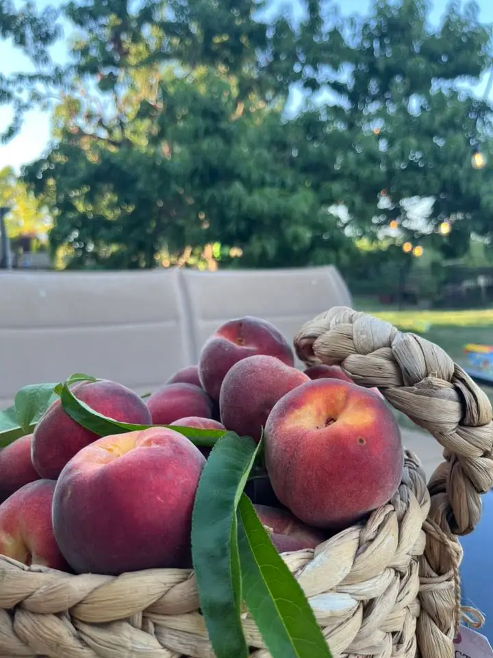 Peaches from a lucky resident of Fieldstone Savoy